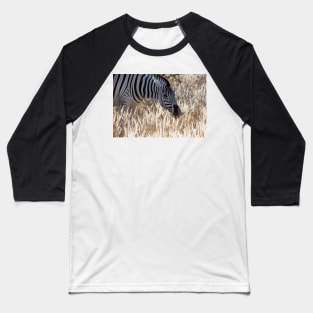 Zebra portrait. Baseball T-Shirt